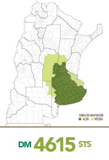 soja-rr1-4615-grande.jpg